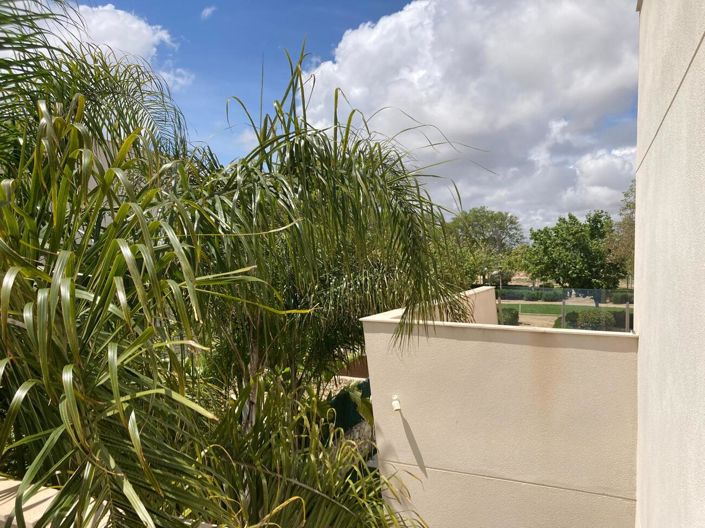 Image No.25-Maison de 3 chambres à vendre à Pilar de la Horadada