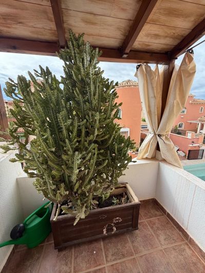 Image No.22-3 Bed Villa for sale