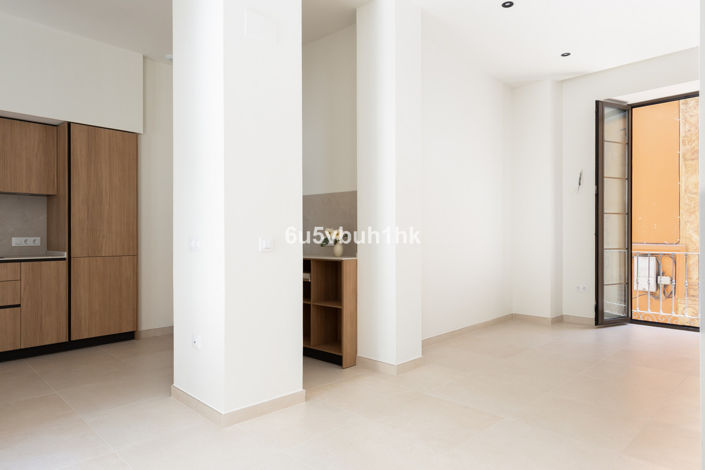 Image No.47-Propriété de 1 chambre à vendre à Málaga City