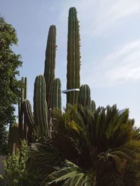22730-for-sale-in-rojales-14445513-large