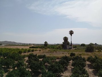 22730-for-sale-in-rojales-14445526-large