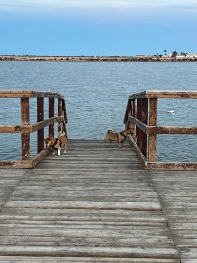 Image No.46-6 Bed Townhouse for sale