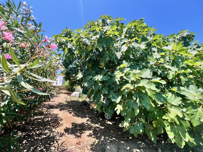 Image No.26-3 Bed Villa for sale