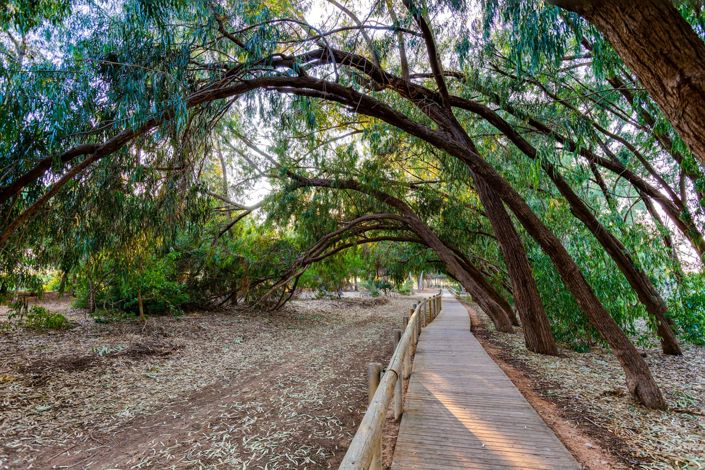 Image No.47-Villa de 3 chambres à vendre à Torrevieja