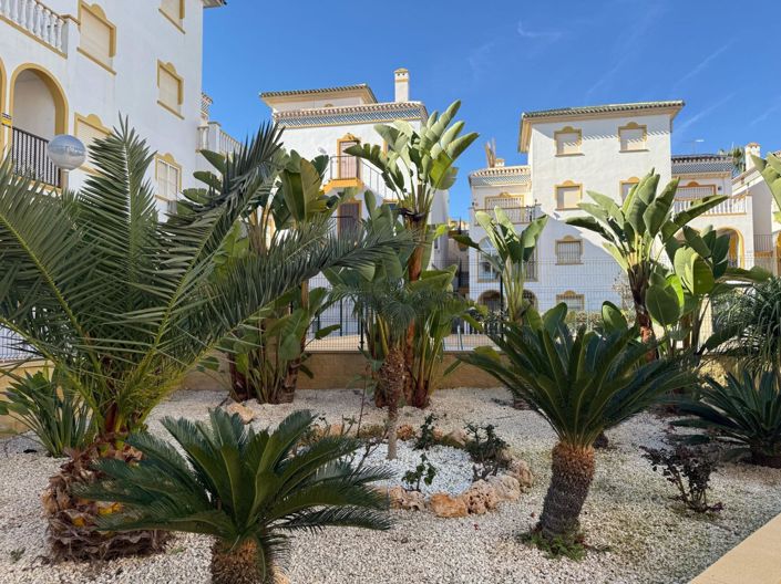 Image No.2-Bungalow de 3 chambres à vendre à Torrevieja
