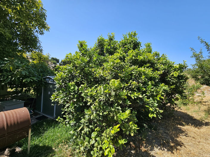 Image No.9-2 Bed Villa for sale