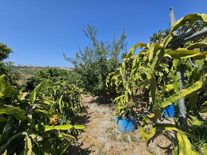 Image No.9-2 Bed Villa for sale