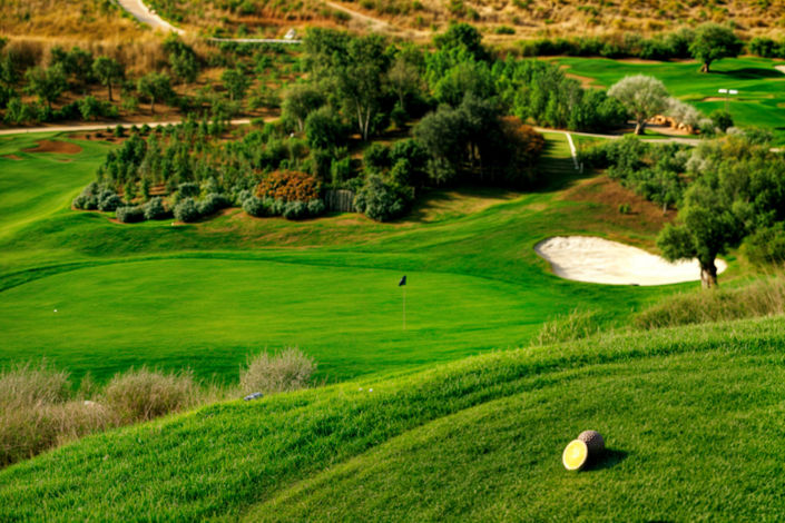 Image No.5-4 Bed Villa for sale