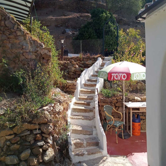 Image No.25-4 Bed Finca for sale