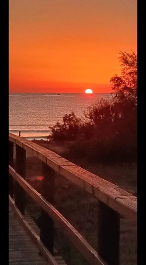 Image No.10-Bungalow de 3 chambres à vendre à Torrevieja