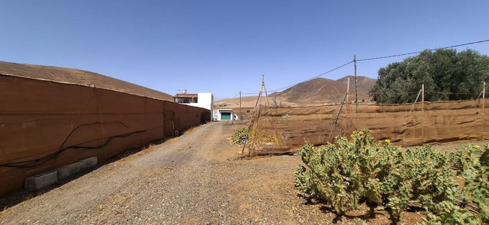 Image No.11-Maison de 3 chambres à vendre à Tuineje