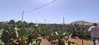 15-11d12f2f454f2f5e9b981fdd8b901d51