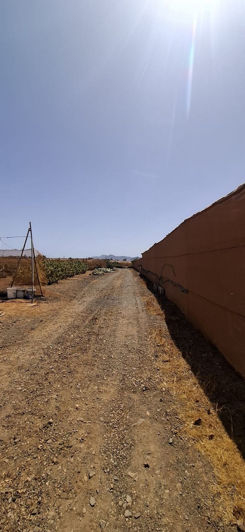 Image No.19-Maison de 3 chambres à vendre à Tuineje