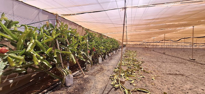 Image No.20-3 Bed House for sale