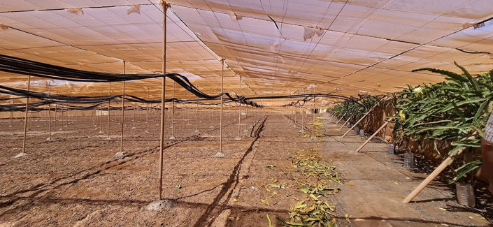 Image No.22-Maison de 3 chambres à vendre à Tuineje