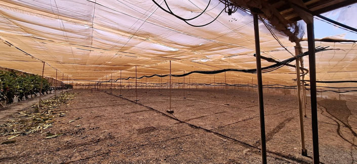 Image No.23-3 Bed House for sale