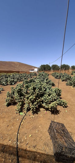 Image No.25-3 Bed House for sale