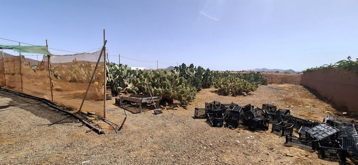 Image No.35-Maison de 3 chambres à vendre à Tuineje