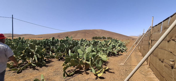 Image No.36-3 Bed House for sale