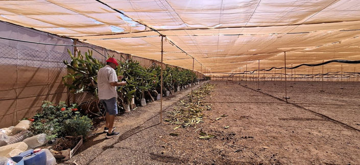 Image No.8-3 Bed House for sale