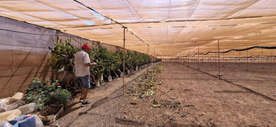 8-e64a9055bba3e77ac8aca3b893cdf826