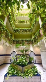 1 Bed Penthouse for sale