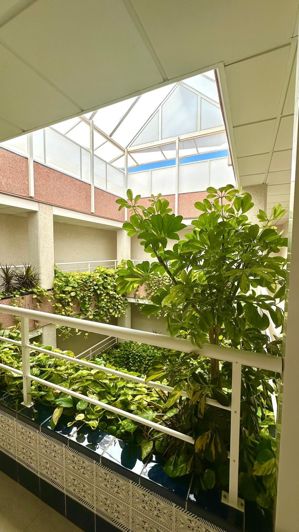 Image No.25-1 Bed Penthouse for sale