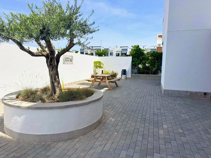 Image No.37-Appartement de 2 chambres à vendre à Pilar de la Horadada