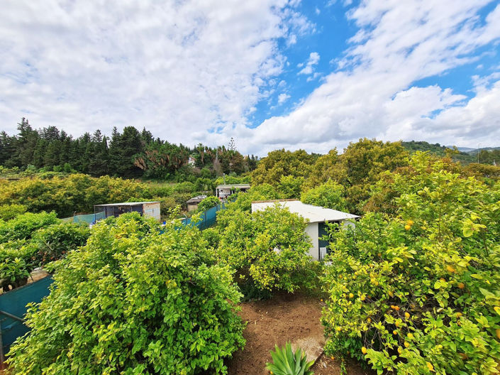 Image No.2-Villa de 2 chambres à vendre à Estepona