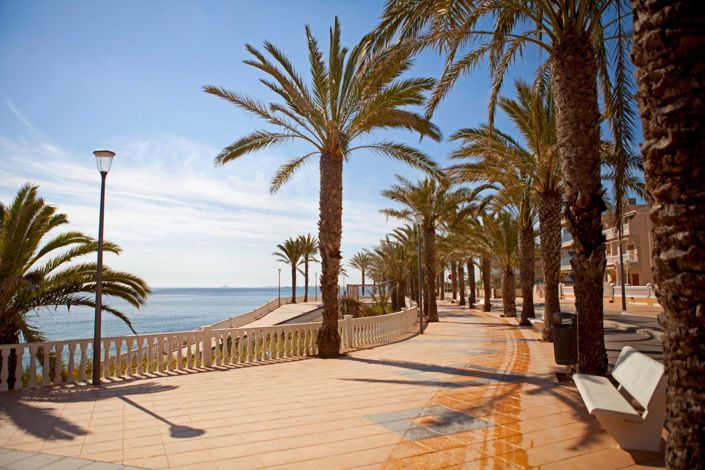 Image No.21-Appartement de 3 chambres à vendre à Pilar de la Horadada