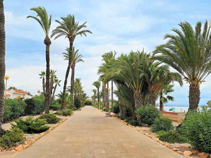 Image No.48-4 Bed House for sale