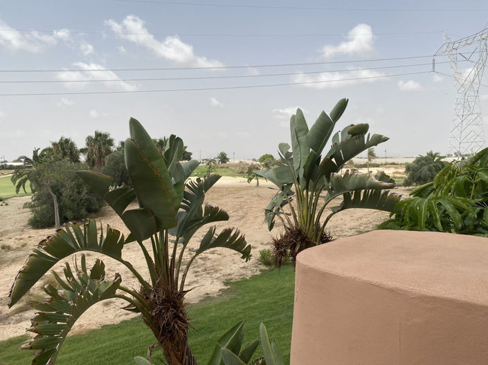 Image No.26-2 Bed Apartment for sale