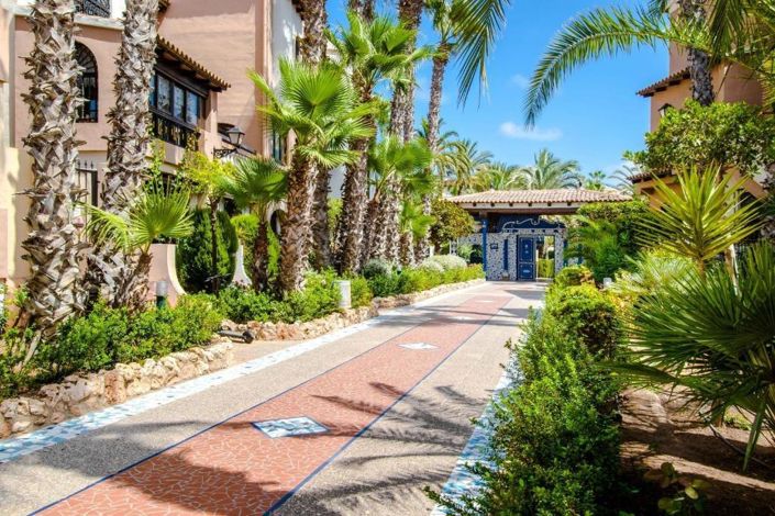 Image No.34-Penthouse de 3 chambres à vendre à Torrevieja