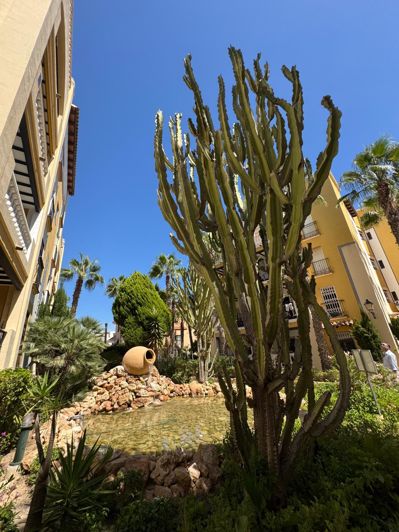 Image No.38-3 Bed Penthouse for sale