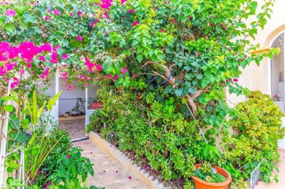 2194o1j56uj1ru1aru1o2b1atu1sup1uil1t