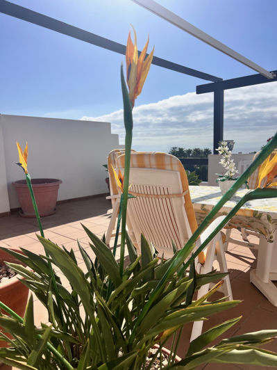 Image No.18-Penthouse de 2 chambres à vendre à Estepona