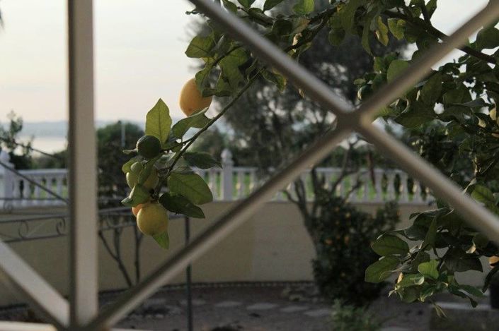 Image No.40-Villa de 6 chambres à vendre à Torrevieja