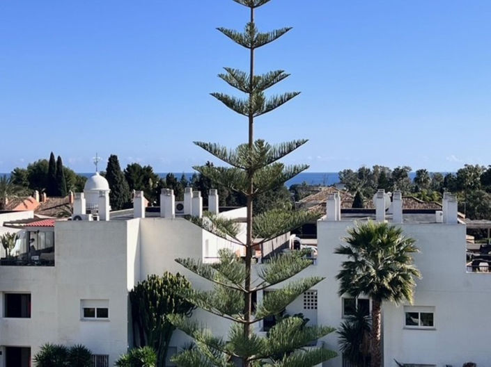 Image No.31-Penthouse de 2 chambres à vendre à San Pedro de Alcantara