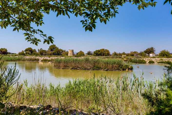 Image No.50-Villa de 3 chambres à vendre à San Fulgencio