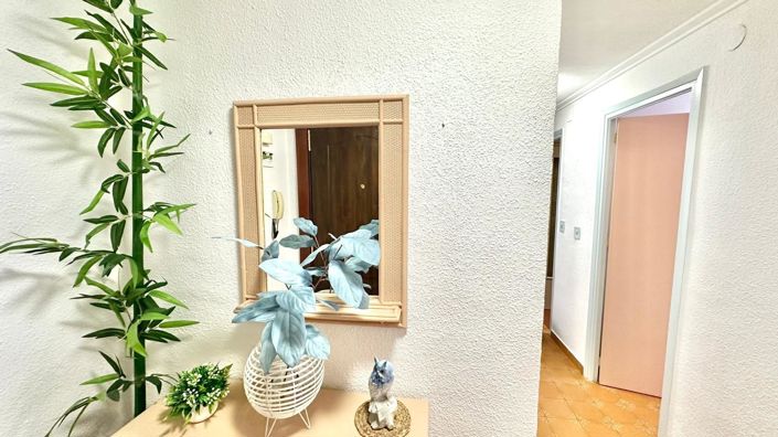 Image No.7-Penthouse de 3 chambres à vendre à Torrevieja