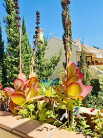 apartment-orihuela-costa-hap3107-1
