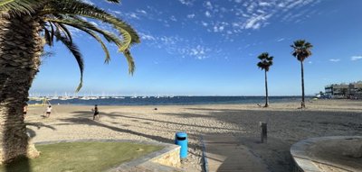 mlsc8185658-image-10