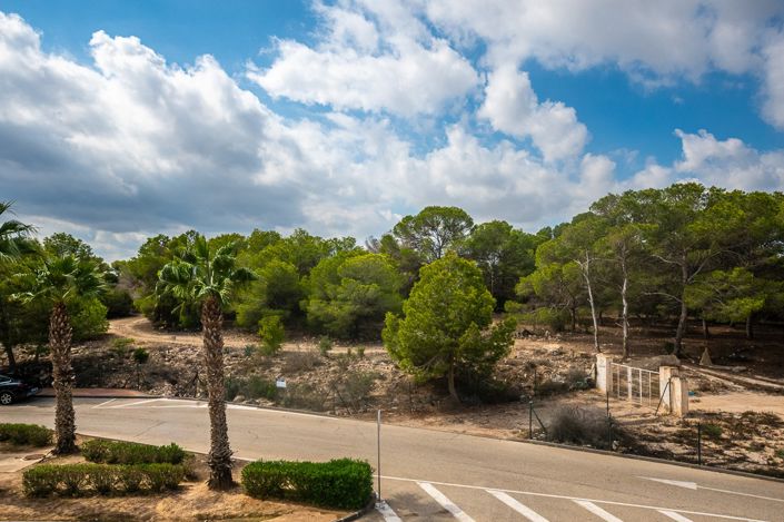 Image No.20-Appartement de 2 chambres à vendre à Algorfa