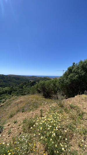 Image No.9-3 Bed Villa for sale