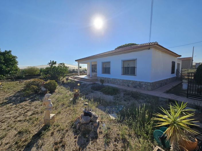 Image No.1-Finca de 3 chambres à vendre à Guardamar del Segura