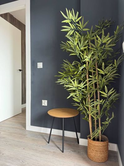 Image No.20-2 Bed Apartment for sale