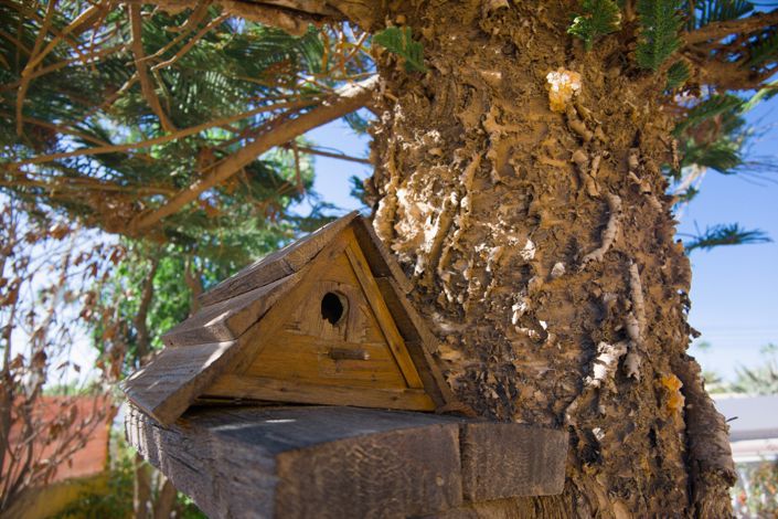 Image No.9-Villa de 2 chambres à vendre à La Siesta