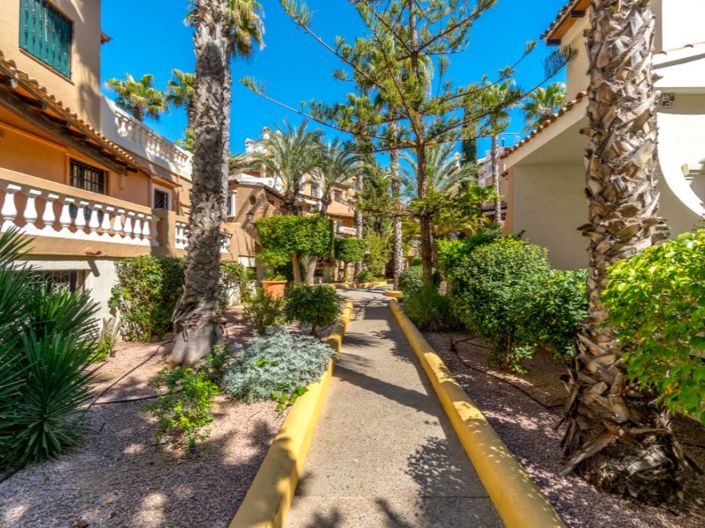 Image No.27-Penthouse de 3 chambres à vendre à Torrevieja