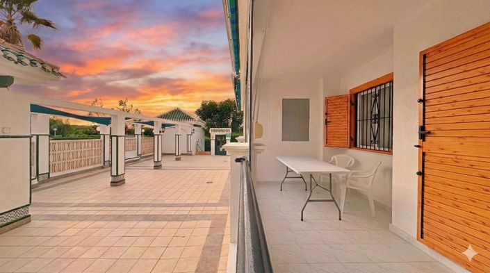 Image No.31-Propriété de 1 chambre à vendre à Torrevieja