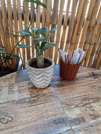 Image No.39-Commercial for sale